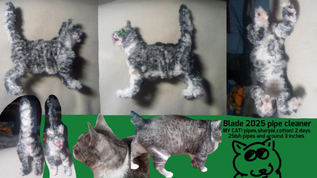 Blade (my cat!) 3 inches and around 25 pipes! Pipes,cotton and sharpie! Two days! 2025